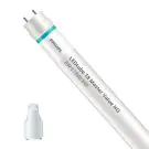 Philips Tube LED T8 MASTER Value (EM/Direct 230V) High Output 8W 1050lm - 840 Blanc Froid | 60cm - Équivalent 18W