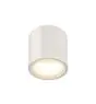 SLV Oculus Plafonnier Aluminium Blanc 11W 780lm 100D - 920-930 Dim To Warm | Meilleur Rendu Des Couleurs - Dimmable 