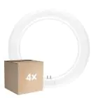 Lot 4x Ledvance Tube LED T9 Value Circulaire (EM/Direct 230V) 11W 1320lm - 840 Blanc Froid | Équivalent 22W