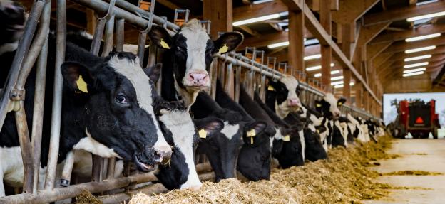 Comment choisir le bon éclairage agricole ?