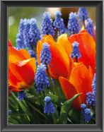 Indice de rendu des couleurs 80