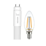 Ampoules LED