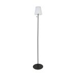 Eglo Vloerlamp Scordiano-L Staal Zwart 2W 220lm - 830-840-865 CCT | IP44 - USB-C