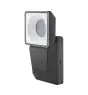 Ledvance LED Floodlight Endura Spot Zwart 8W 750lm 50D - 840 Koel Wit | IP55 - Bewegings- en lichtsensor - Symmetrisch